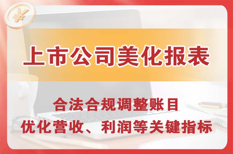 海陵上市公司美化报表